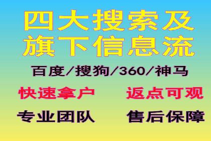 专业SEM运营托管服务案例分析